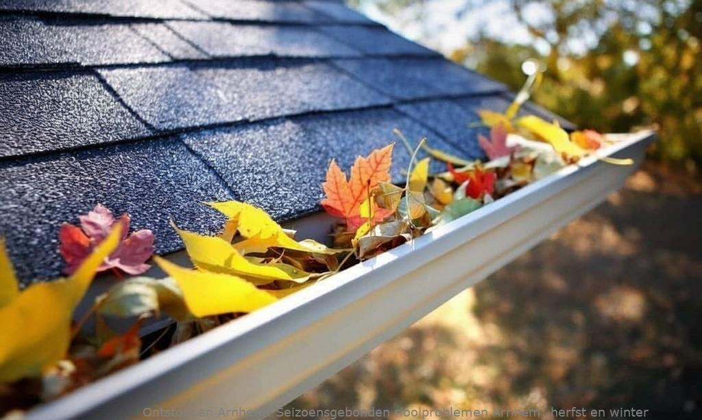 Seizoensgebonden rioolproblemen Arnhem: herfst en winter
